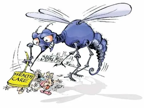 हल्द्वानी: लॉकडाउन का असर, धीमा रहेगा डेंगू का डंक