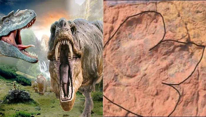 डायनासोरों की छह विभिन्न प्रजातियों के मिले पैरों के निशान