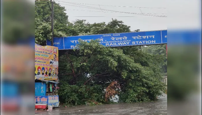 रामपुर: तेज बारिश से रेलवे स्टेशन परिसर में गिरा नवाबी दौर का पेड़, कुली घायल