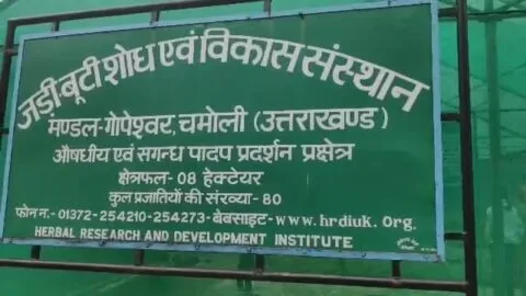 पर्यावरण संरक्षण के लिए जड़ी-बूटी शोध संस्थान ने की ये अनूठी पहल…