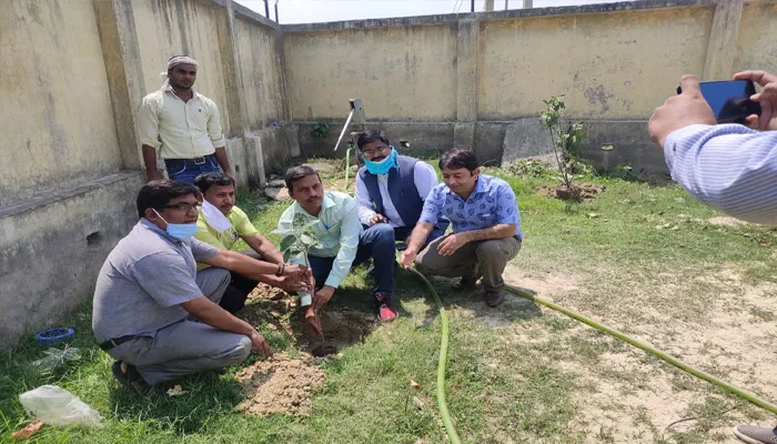 लखनऊ: विद्युत इंजीनियर संगठन ने पौधरोपण कर पर्यावरण संरक्षण का दिया संदेश