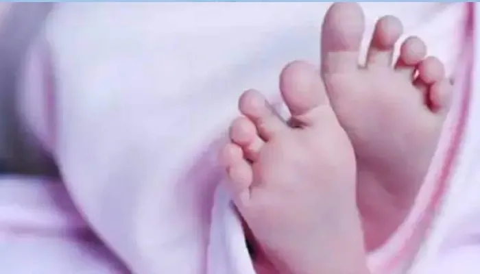 हरदोई: रोने की आवाज सुनकर झाड़ी के पास पहुंचे ग्रामीण, नजर देख उड़े होश