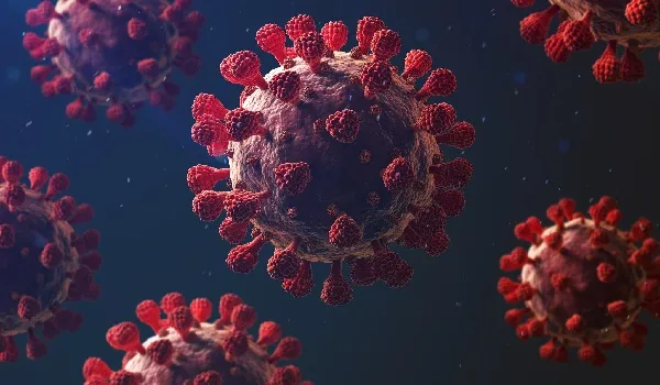 पाकिस्तान में पिछले 24 घंटे में मिले कोरोना के 2,452 नए मामले, जानिए संक्रमितों की संख्या