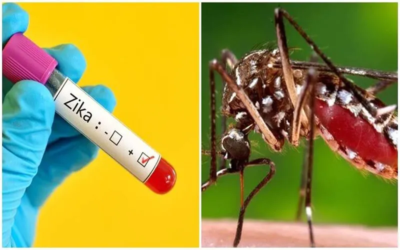 Corona प्रकोप के बाद Zika virus ने बढ़ाई मुसीबत, केरल में मिले 14 positive, केंद्रीय दल दक्षिण राज्य रवाना