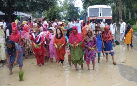 बाजपुर: क्षतिग्रस्त सड़क पर गुस्साए लोगों ने रोपा धान