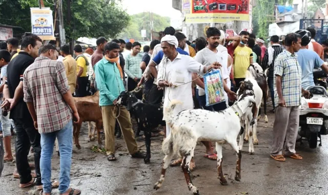 बरेली: बारिश में चढ़े दाम, दो से पांच हजार महंगे बिके बकरे