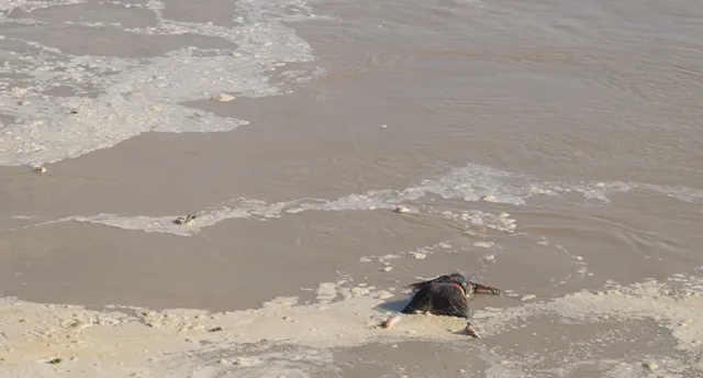 बरेली: उफनाती रामगंगा नदी में बहकर आया महिला का शव