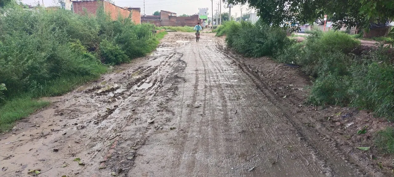 बरेली: गड्ढों के बीच से झांक रही भौऊआपुर से नरियावल जाने वाली सड़क