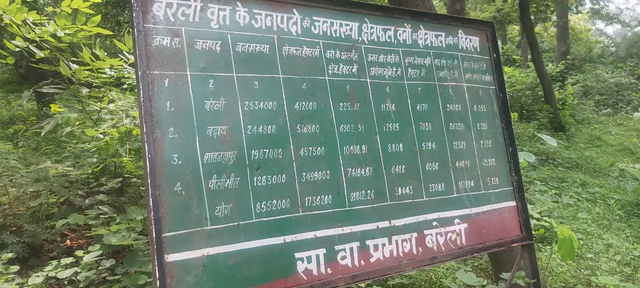 बरेली: 28 साल में दोगुनी हो गयी जनसंख्या, घटता गया वनभूमि का क्षेत्रफल