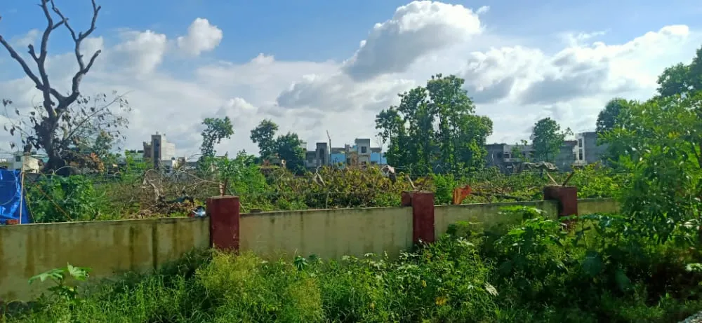 बरेली: डीएम का आदेश पहुंचने से पहले काट दिए चाहरदीवारी वाले पेड़