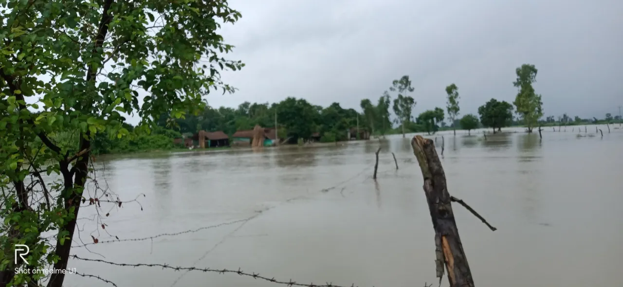 लखीमपुर खीरी: उफनाई मोहाना नदी का पानी नया पिंड गांव में घुसा
