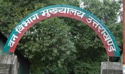 हल्द्वानी: वन विभाग में अगर ढांचा बदला तो खत्म हो जाएंगे सैकड़ों पद