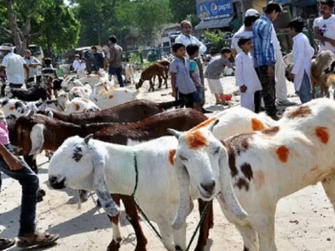 हल्द्वानी: बकरीद पर स्लॉटरिंग के लिए पुलिस ने चिन्हित किए पांच स्थल