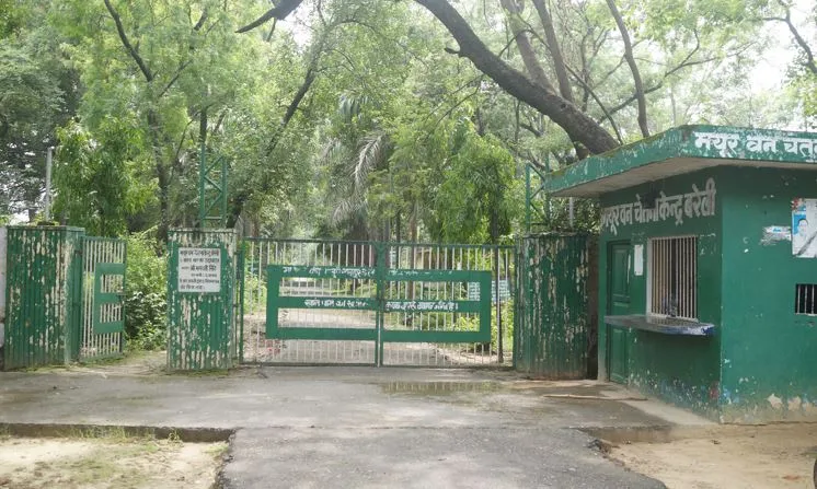 बरेली: वन विभाग का लालच निगल गया मयूर वन की खूबसूरती