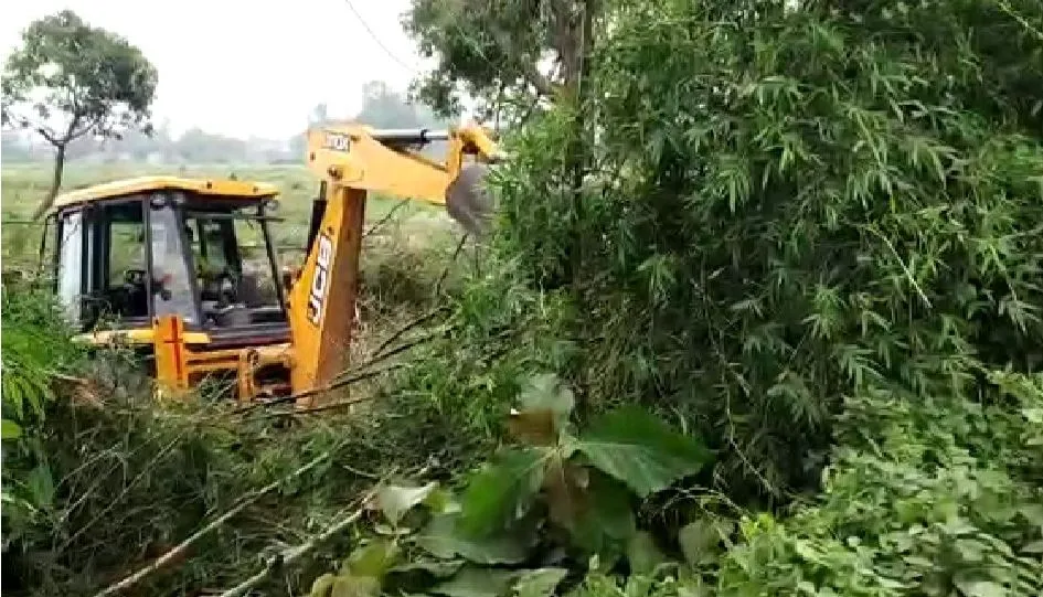 बरेली: वन विभाग की जमीन पर काटे जा रहे थे पेड़, जेसीबी जब्त