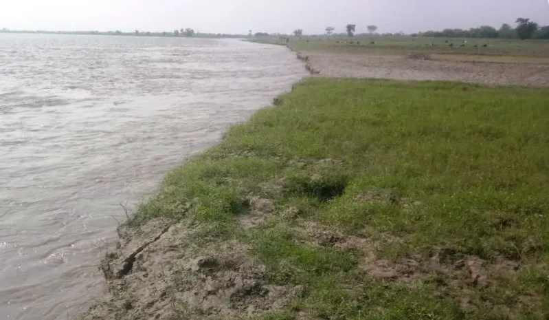 लखीमपुर खीरी: रौद्र रूप दिखाने लगी शारदा, खेतिहर जमीन निगली