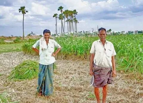 गरमपानी: लाखों रुपये की योजनाएं पर किसानों को नहीं मिला लाभ