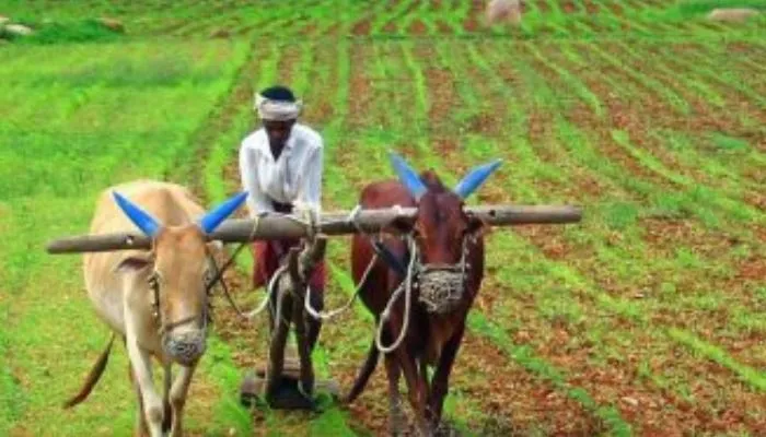 बरेली: खुद की कंपनी बनाकर आय बढ़ा सकेंगे किसान