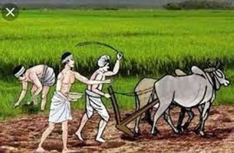 गरमपानी: विभागीय कार्यशैली ने तोड़ दी किसानों की कमर
