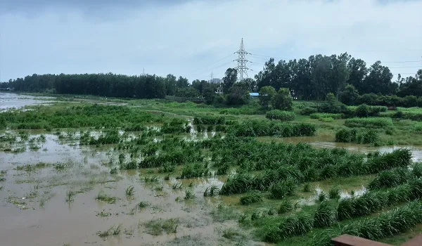 मुरादाबाद: दावे हुए हवा-हवाई…खेतों से गांवों की ओर बढ़ा रामगंगा नदी का पानी, प्रशासन बेखबर