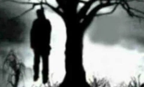 काशीपुर: आम के बगीचे में पेड़ से लटकता मिला अधेड़ का शव