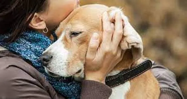 Pets से है दुलार तो हो जाएं होशियार… कोरोना संक्रमण को लेकर रिपोर्ट में चौकाने वाला दावा