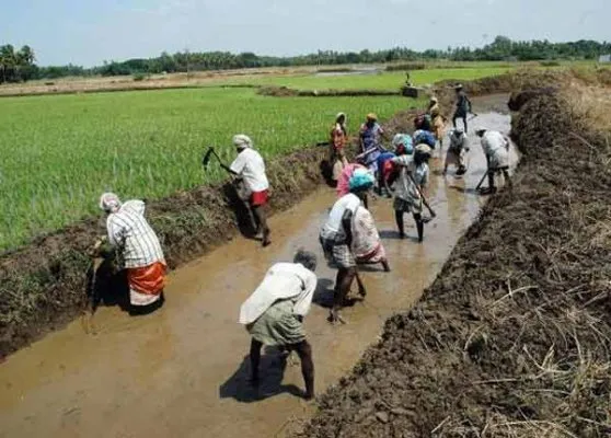 बरेली: मनरेगा में लागू नहीं हो सका न्यू मोबाइल मॉनिटरिंग सिस्टम