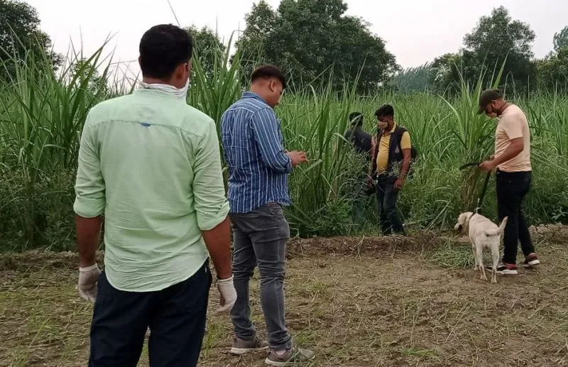 बरेली: गन्ने के खेत में मिला महिला का निर्वस्त्र शव, दुष्कर्म की आशंका