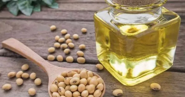 विदेशी बाजारों में तेजी के रुख से स्थानीय तेल-तिलहन में सुधार, जानें क्या रहे भाव?