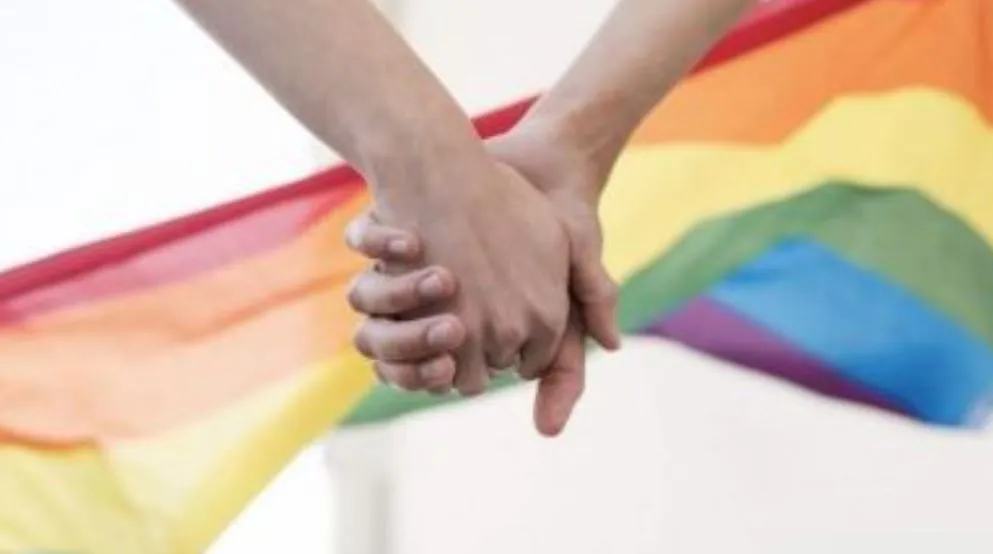 समलैंगिक विवाह: विदेशी मूल के जीवनसाथी को ओसीआई आवेदन की अनुमति देने की मांग, केंद्र से अदालत ने मांगा जवाब