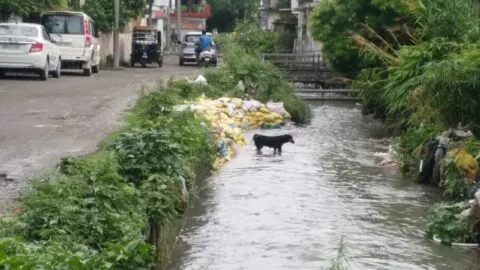हल्द्वानी: नहर कवरिंग कार्य के लिए टेंडरिंग प्रक्रिया पूरी फिर भी रफ्तार धीमी