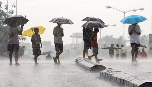 हल्द्वानी: क्वारंटीन से बाहर निकला मानसून, सात दिनों में जमकर बरसे मेघ