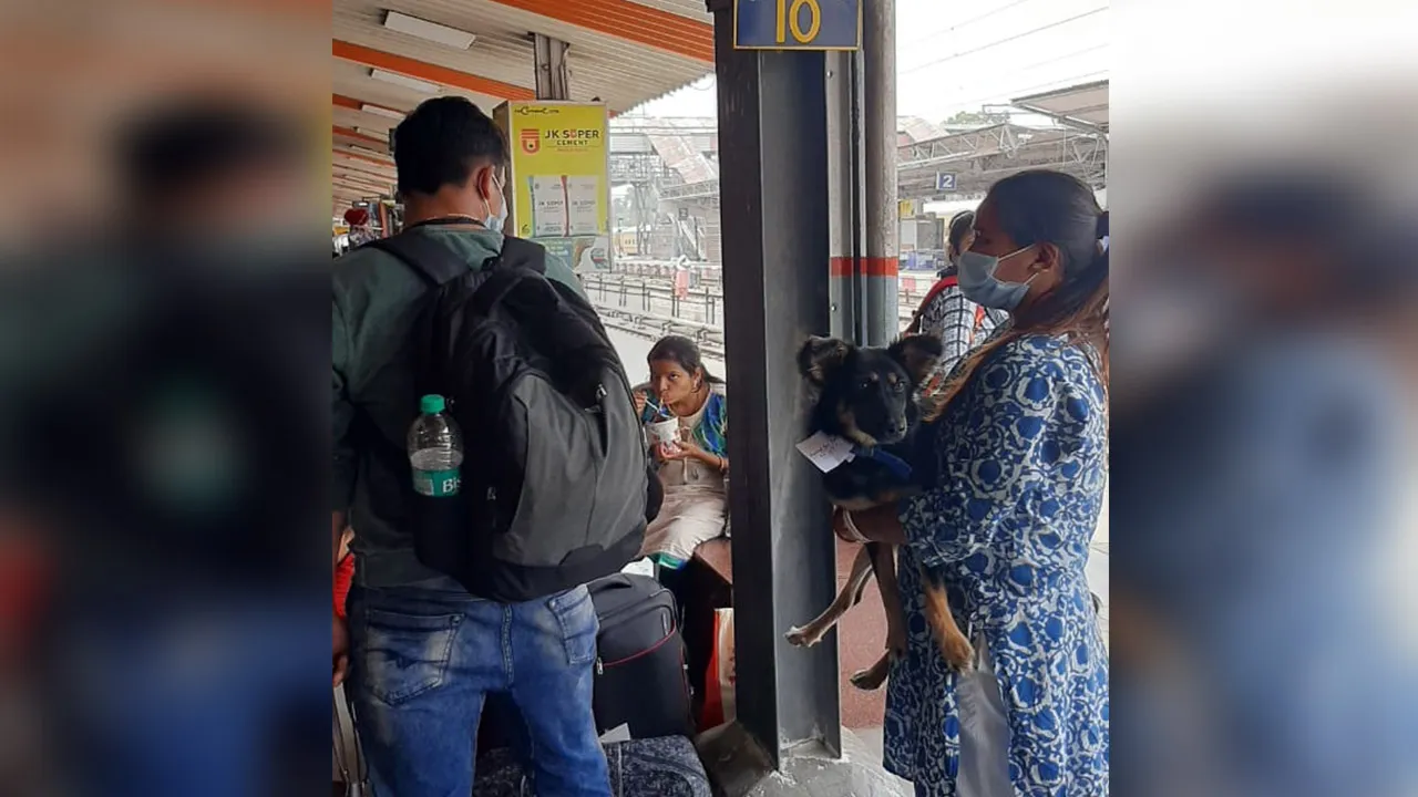बरेली: टिकट के साथ जंक्शन पहुंचा कुत्ता पर टीटीई ने रोका