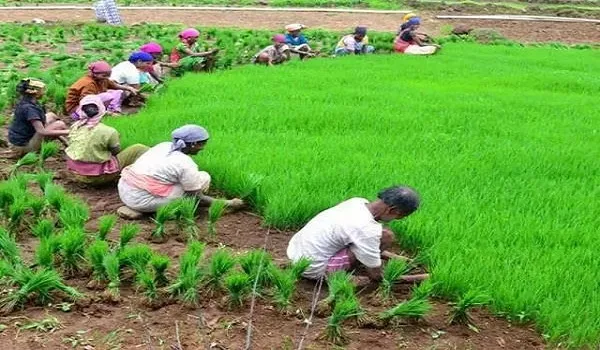 मुरादाबाद : बदला मौसम का मिजाज, दो दिनों तक मध्यम वर्षा के आसार, अब किसानों की होगी बल्ले-बल्ले