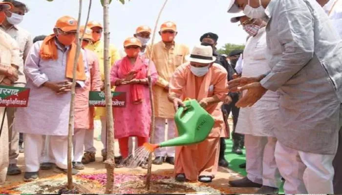 यूपी सरकार ने पर्यावरण को बचाने में बनाया रिकार्ड, 5 साल में लगाए 100 करोड़ पेड़
