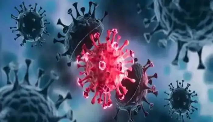यूपी: डेल्टा प्लस वैरिएंट के दो नये केस आए सामने, मचा हड़कंप
