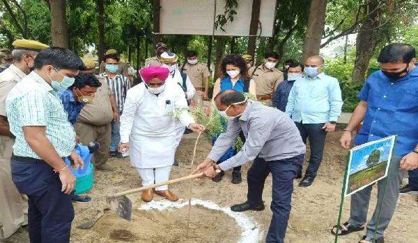 रामपुर: राज्यमंत्री ने रोपा सहजन का पौधा, पौधारोपण की अपील