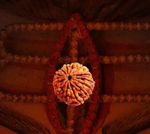भगवान शिव के आंसुओं से हुई थी दिव्य “रुद्राक्ष” की उत्पत्ति, कैसे बदलता है जीवन का भाग्य, आइए जानिए…