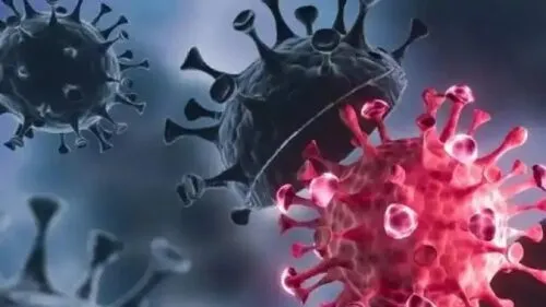 उधम सिंह नगर में डेल्टा प्लस के पहले मामले की गूंज लखनऊ तक