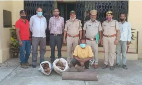 हल्द्वानी: चंदन का पेड़ काटकर ले जा रहे तस्कर को दबोचा