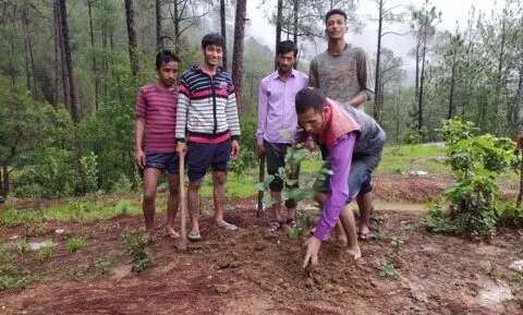 हल्द्वानी: ग्राम पंतौली में क्षेत्र के युवाओं ने किया पौधरोपण