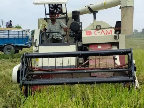 दिनेशपुर क्षेत्र के किसानों की हालत दयनीय, किसानों ने अपनाया बेमौसमी धान मढ़ाई का नया तरीका