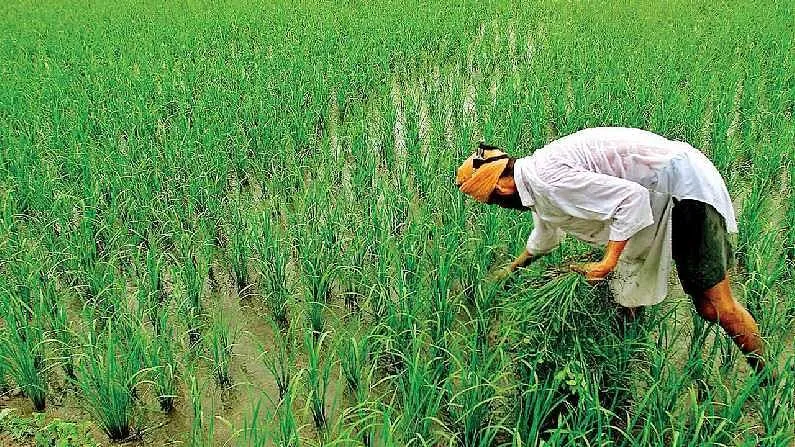 बरेली: 2022 के चुनाव में किसान मांगेंगे ‘अच्छे दिन’ का हिसाब