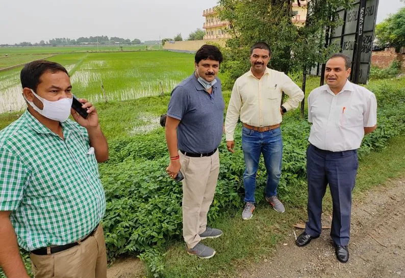बरेली: लालफाटक रोड पर पेड़ों को ट्रांसलोकेट करने की ढूंढी संभावना