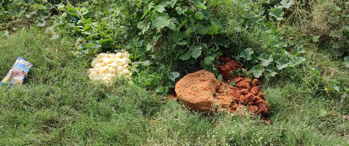 बरेली: बर्फी और छेने की मिठाई पर आयी फफूंद फिर भी बेच रहे थे