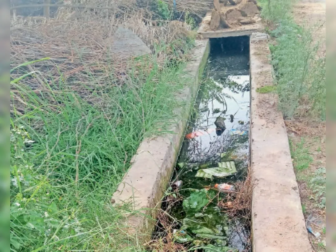 गरमपानी: सरकारी बजट की ऐसी बर्बादी देखी नहीं कहीं