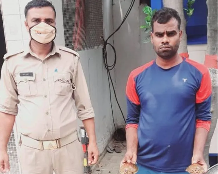 बरेली: 28 कछुओं के साथ तस्कर गिरफ्तार, भेजा जेल