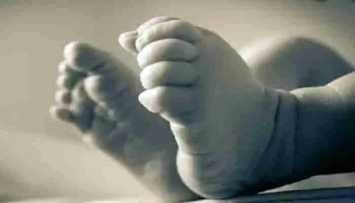 मिर्जापुर: नवजात का सड़क पर मिला शव, जांच में जुटी पुलिस