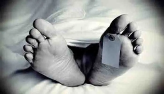उन्नाव: अज्ञात वाहन की टक्कर से पलटा टेम्पो, चालक की मौत, मचा कोहराम