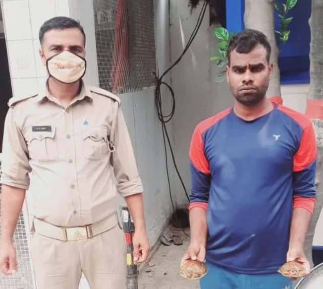 बरेली: पुलिस ने तस्कर को किया गिरफ्तार, 28 कछुए बरामद